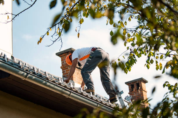 Best Steel Roofing  in Dent, OH