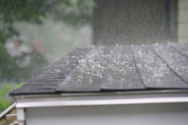 Best Emergency Roof Repair Services  in Dent, OH