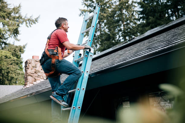 Best Roof Maintenance and Cleaning  in Dent, OH